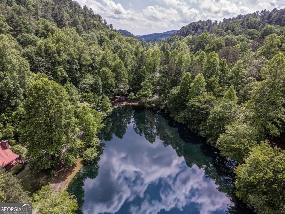 64 Bear Lake Drive Blue Ridge GA 30513