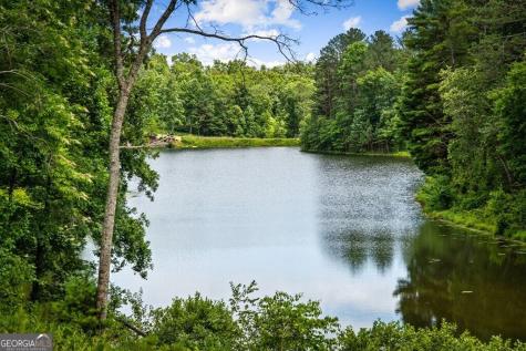 363 Pinnacle Drive Ellijay GA 30540