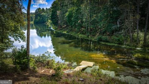 363 Pinnacle Drive Ellijay GA 30540