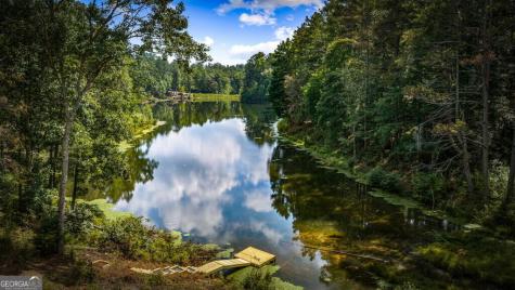 363 Pinnacle Drive Ellijay GA 30540
