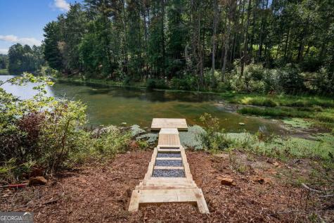 363 Pinnacle Drive Ellijay GA 30540