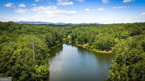 363 Pinnacle Drive Ellijay GA 30540