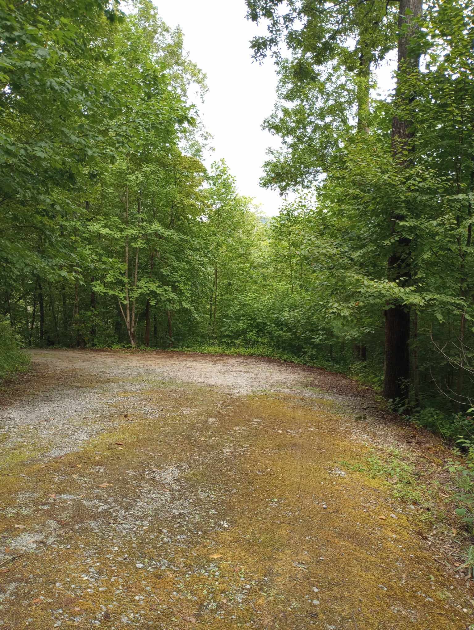 92 Boulder Lane Rabun Gap GA 30568