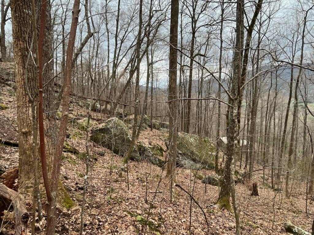 92 Boulder Lane Rabun Gap GA 30568