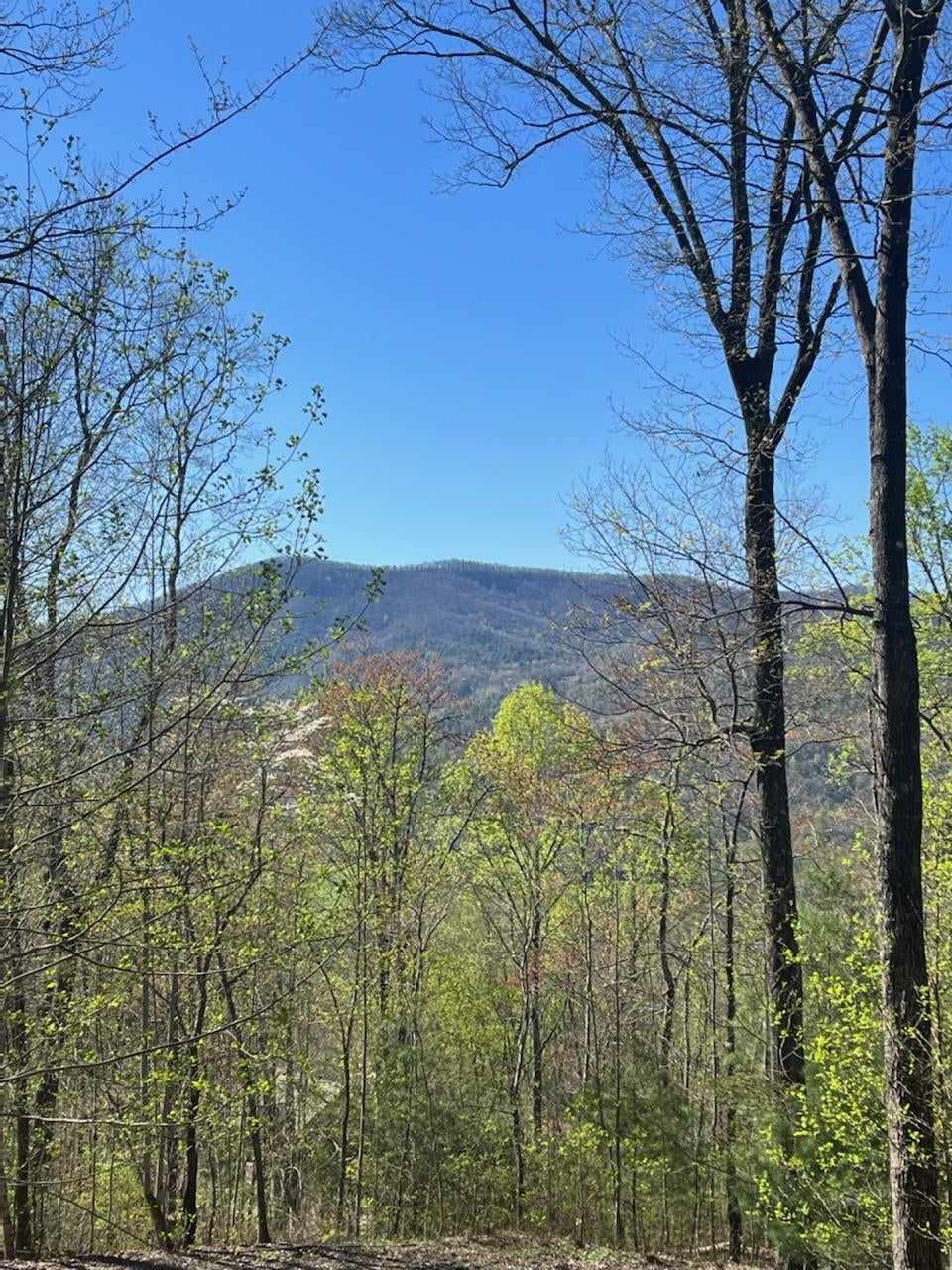 92 Boulder Lane Rabun Gap GA 30568