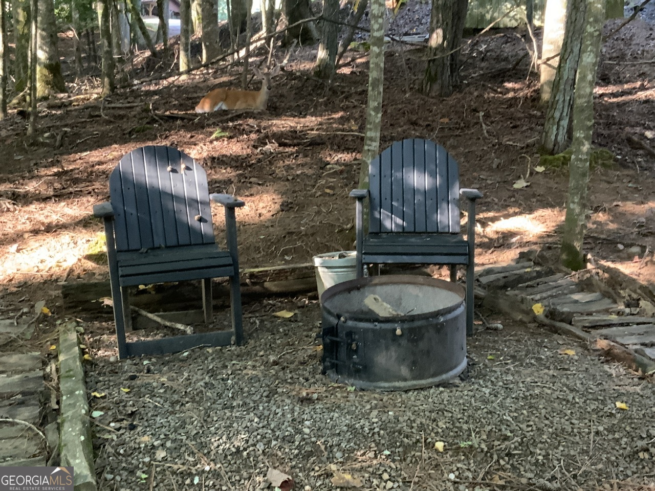 176 14th Street Ellijay GA 30540