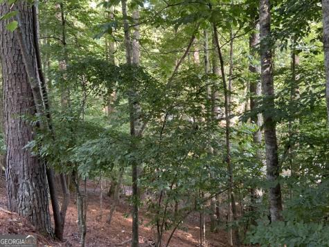 176 14th Street Ellijay GA 30540