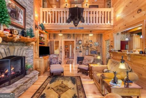 671 Stover Knob Trail Cherry Log GA 30522