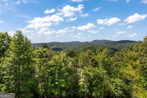 671 Stover Knob Trail Cherry Log GA 30522
