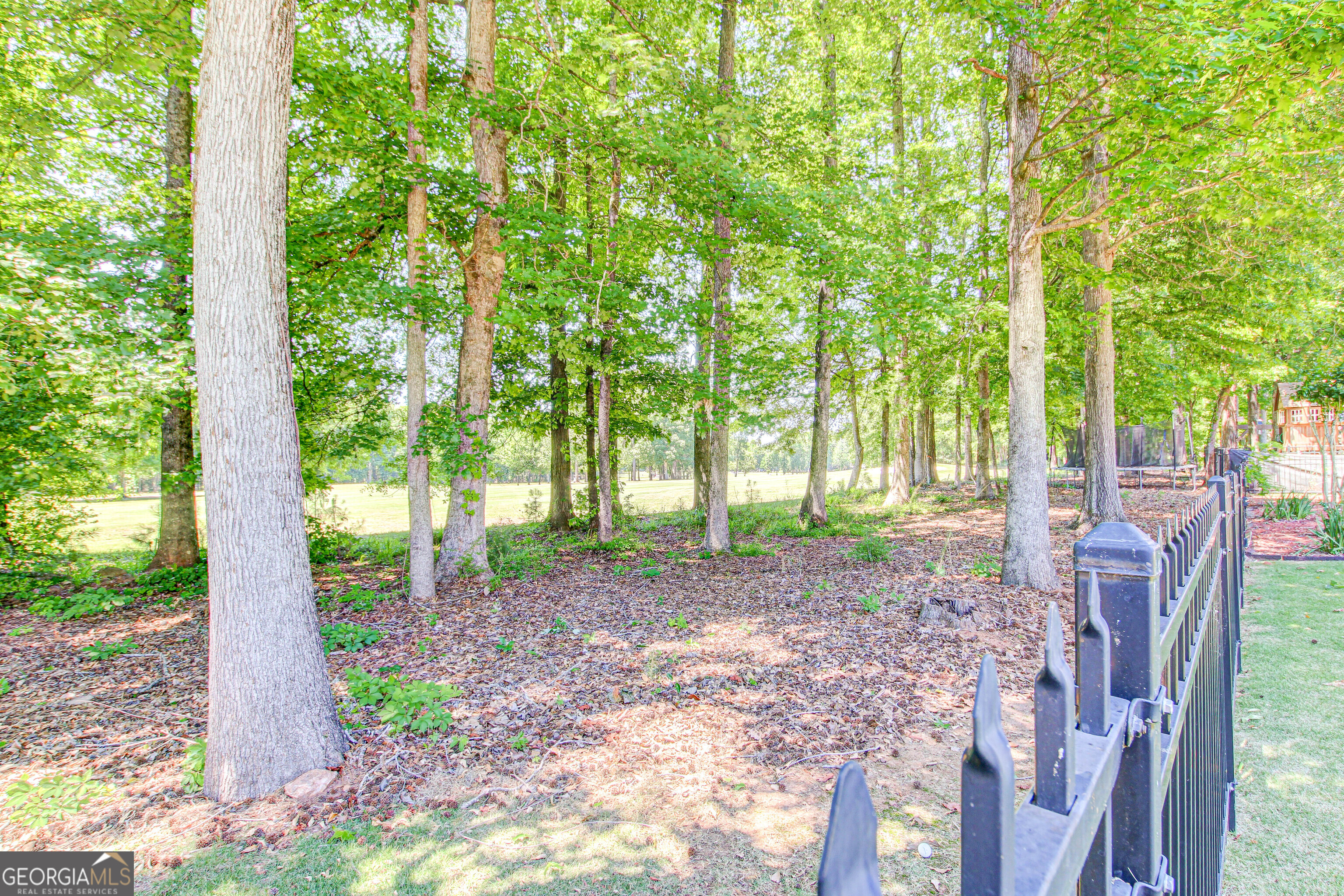 123 Fairgreen Trace Newnan GA 30265