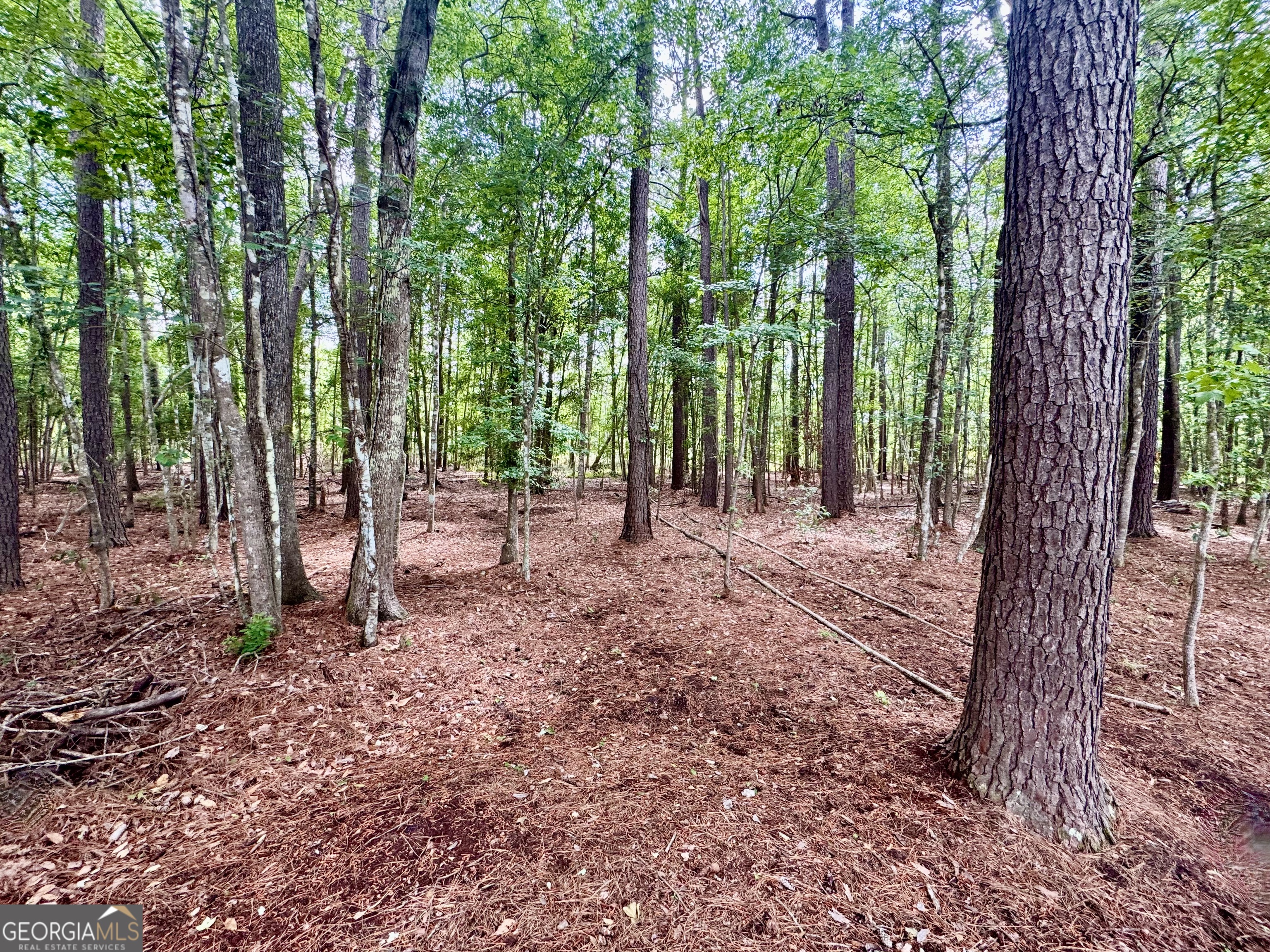 115 Royal Lane Pooler GA 31322