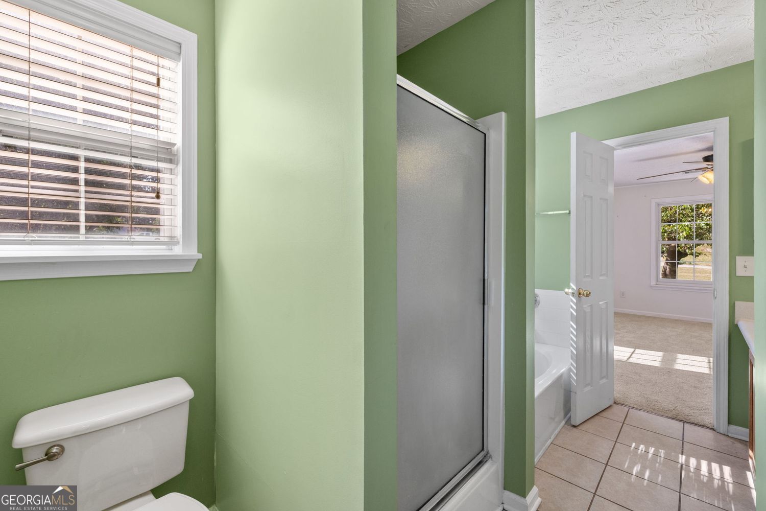 555 Mackinaw Drive Bethlehem GA 30620