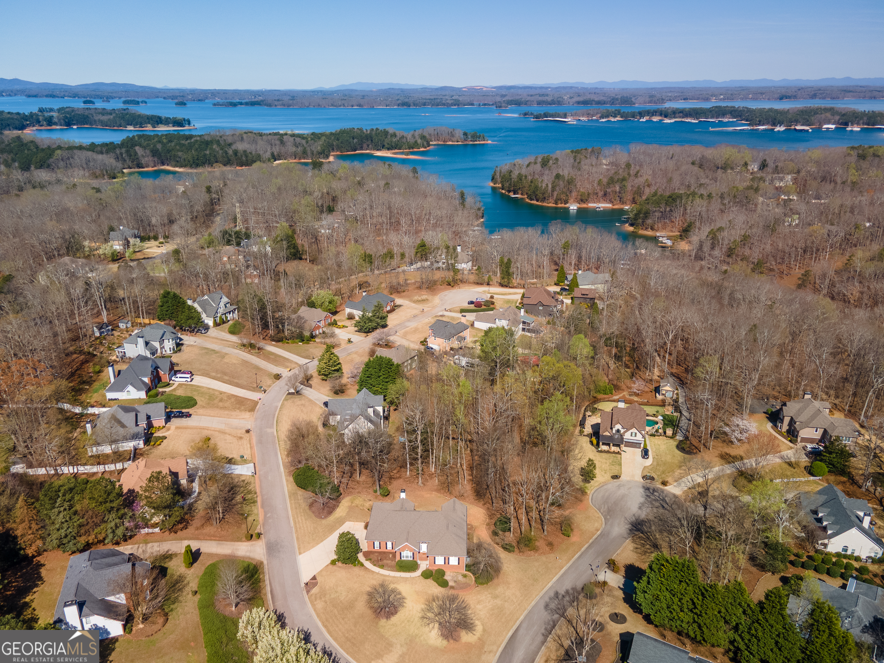 6506 Vista View Court Flowery Branch GA 30542