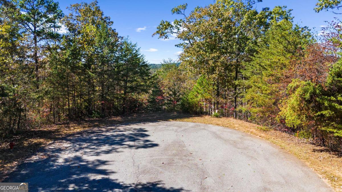1047 Nugget Court Dahlonega GA 30533