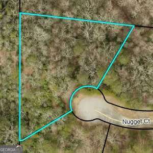 1047 Nugget Court Dahlonega GA 30533