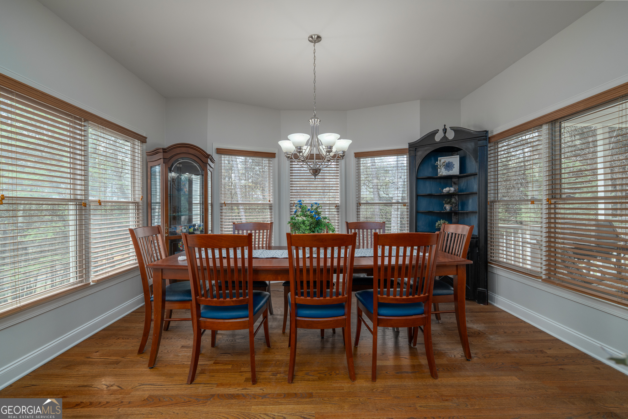 508 Crested Hawk Ridge Canton GA 30114