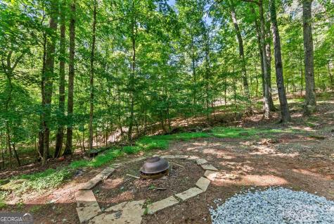 294 Cedar Hollow Road Cleveland GA 30528