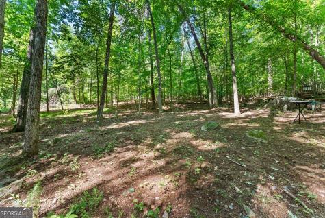 294 Cedar Hollow Road Cleveland GA 30528