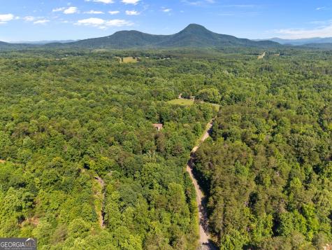 294 Cedar Hollow Road Cleveland GA 30528