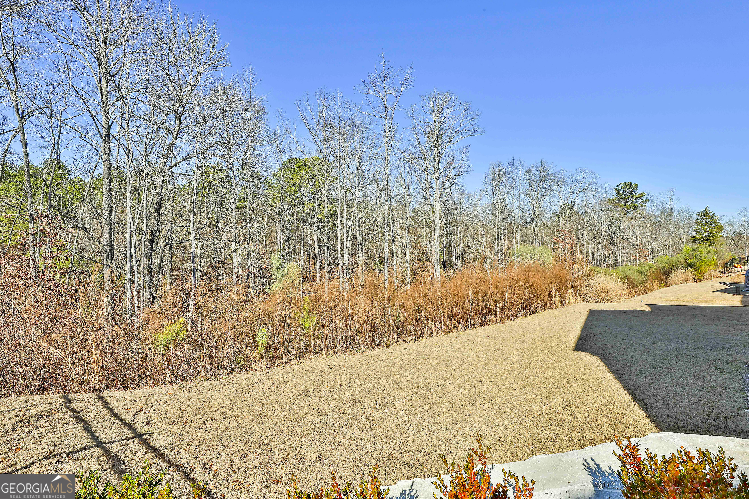 255 Werner Way Senoia GA 30276