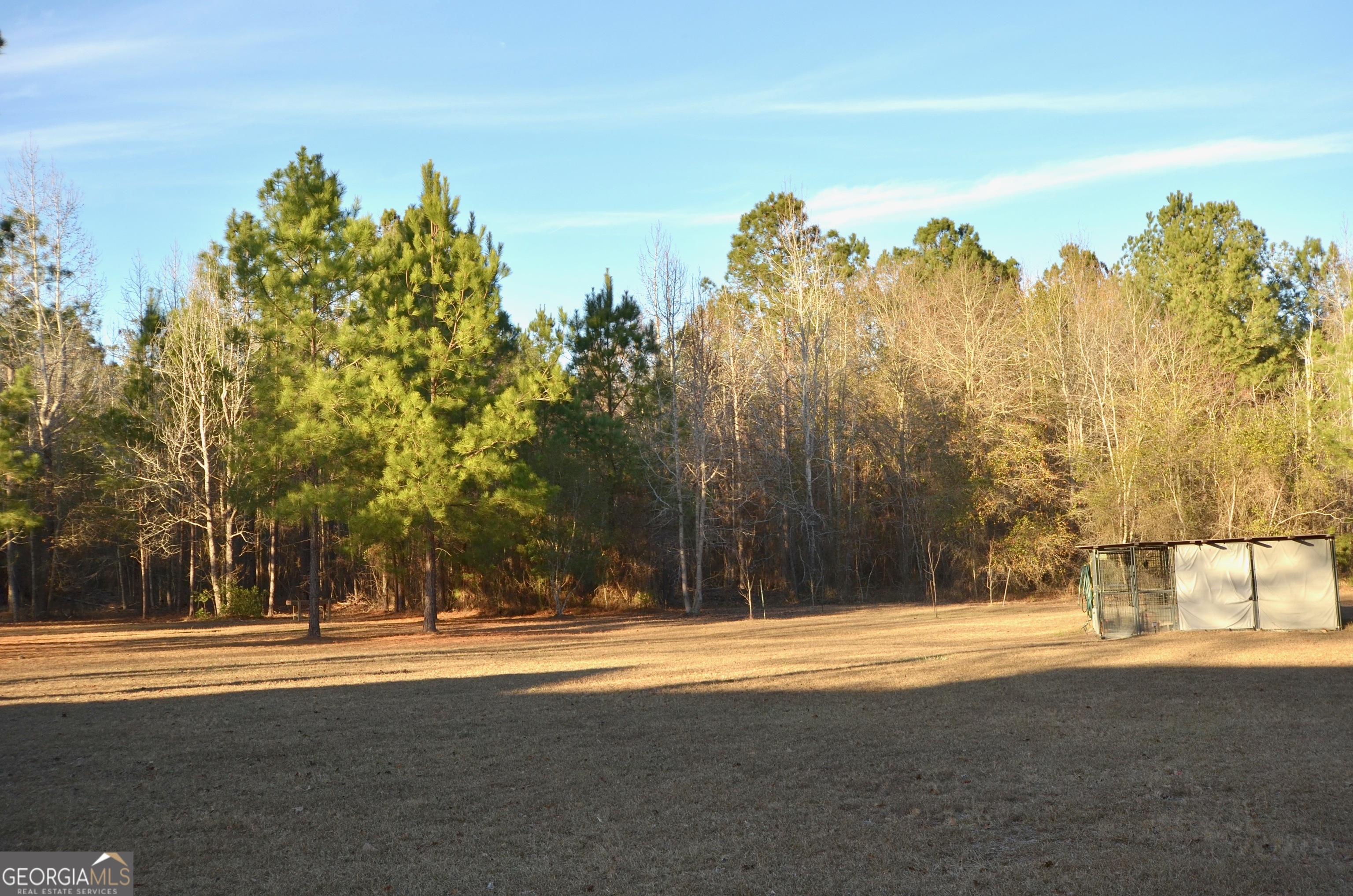239 Trent Drive Eastman GA 31023
