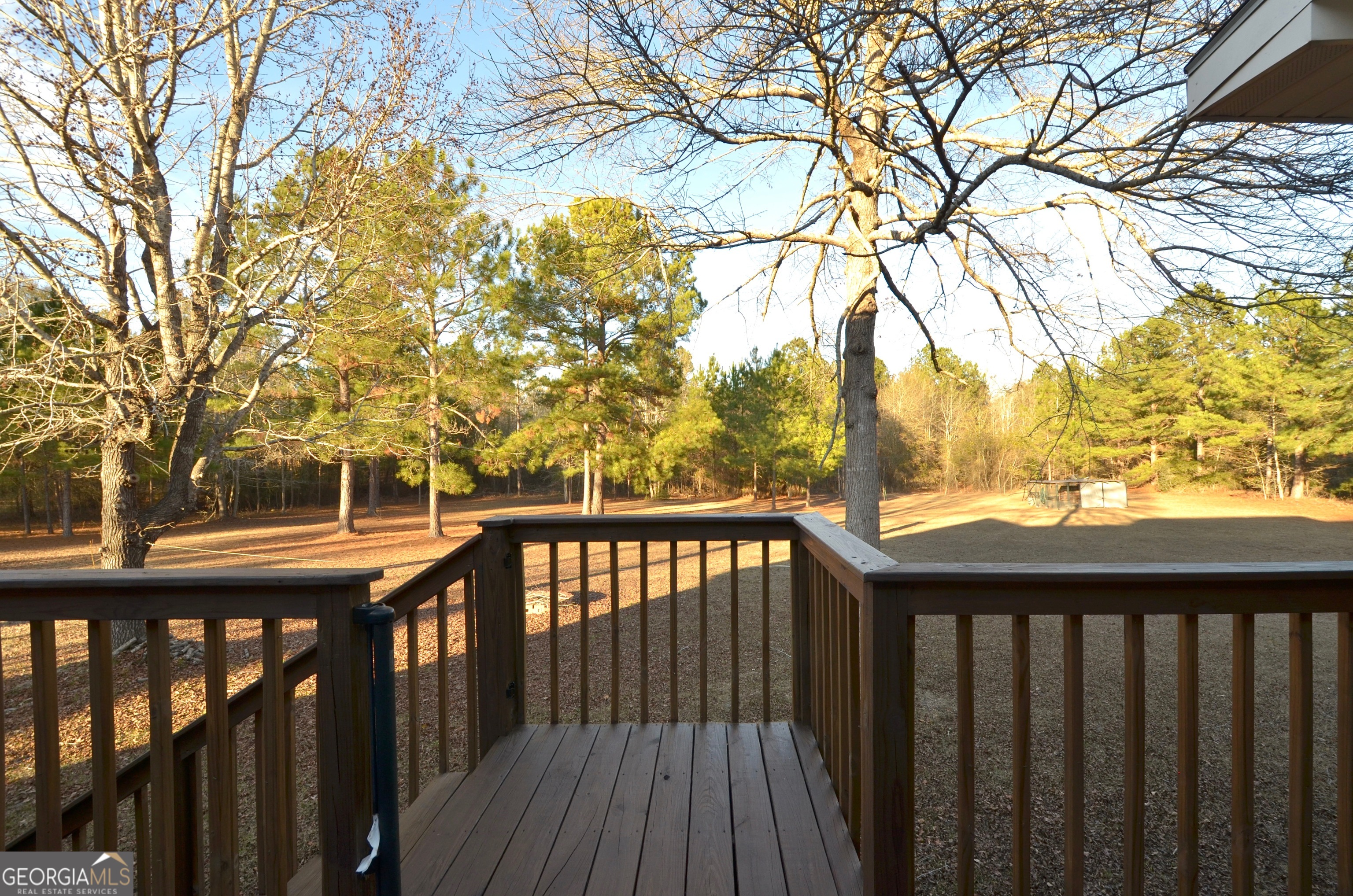 239 Trent Drive Eastman GA 31023