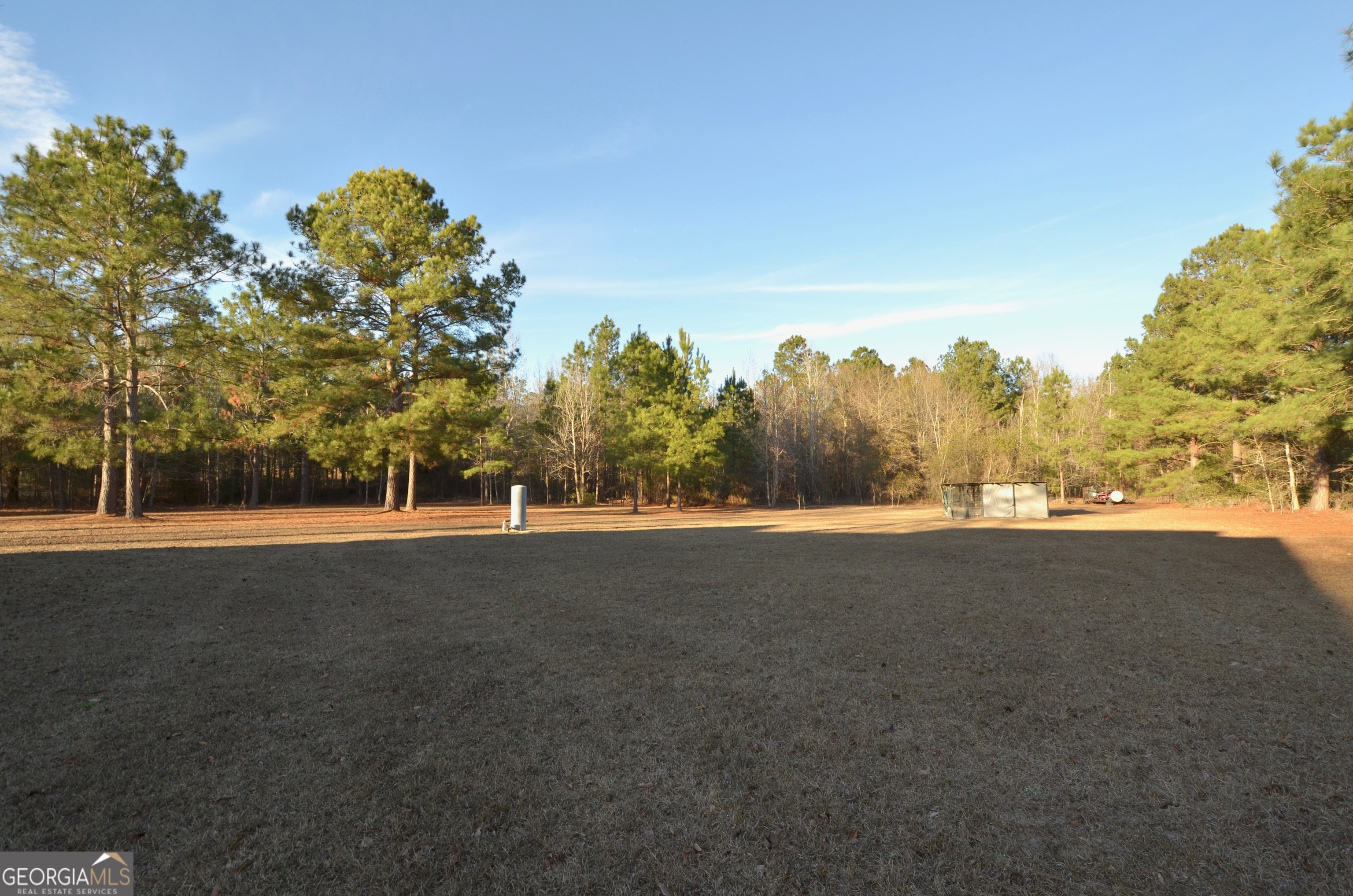 239 Trent Drive Eastman GA 31023