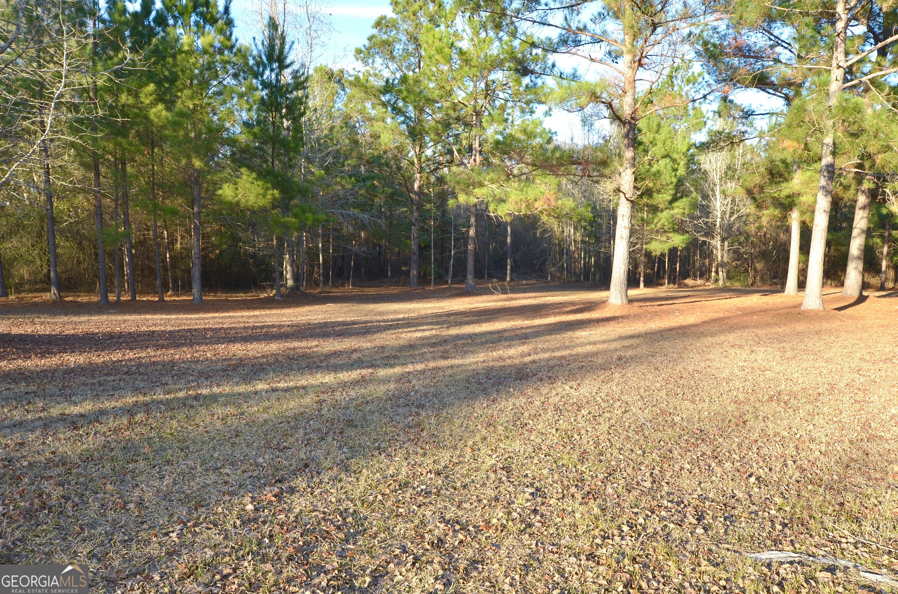 239 Trent Drive Eastman GA 31023