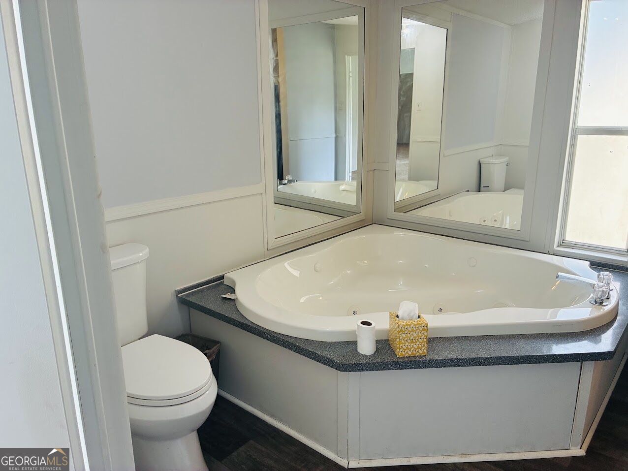 251 Moores Chapel Road Mauk GA 31058