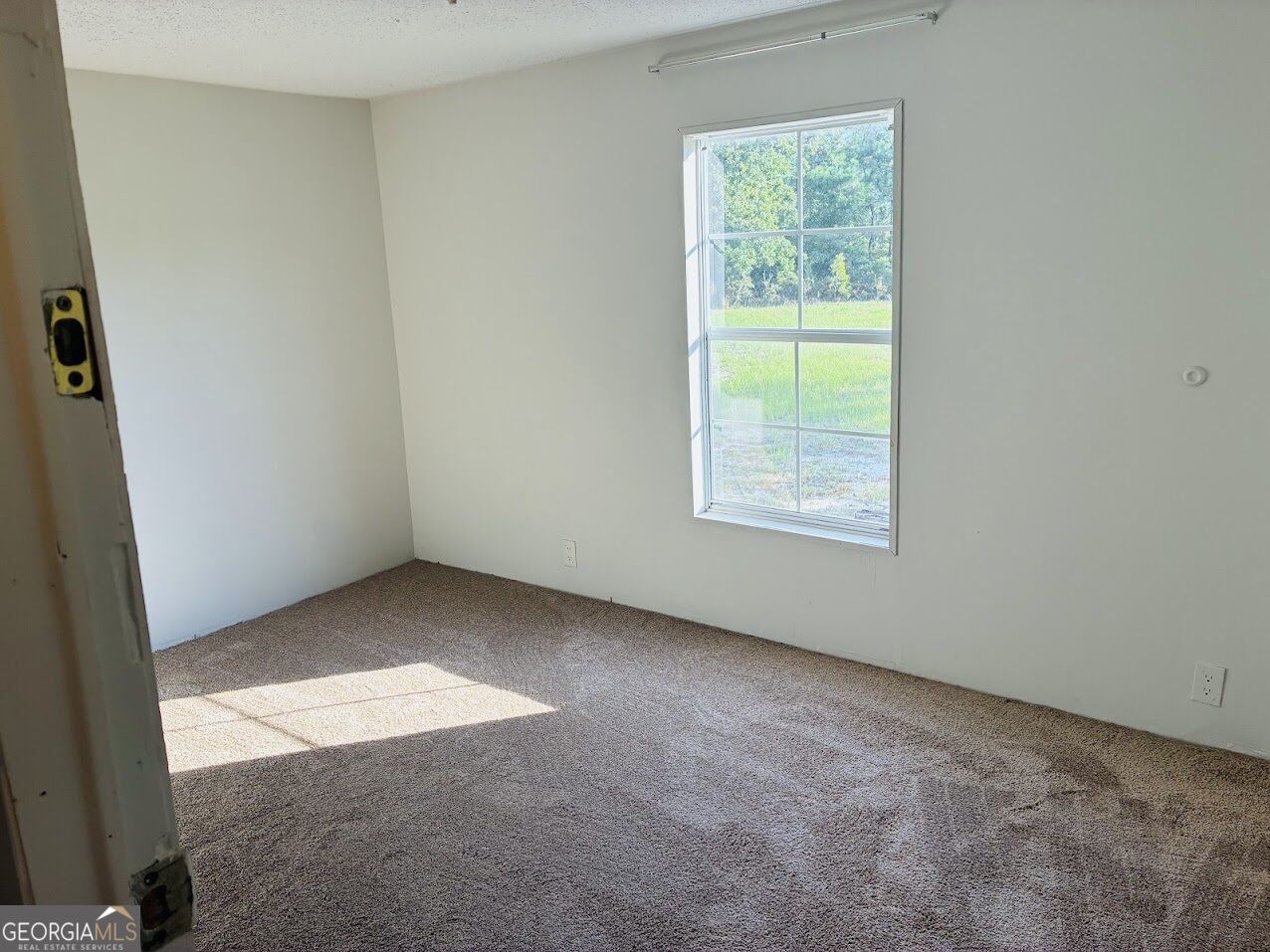 251 Moores Chapel Road Mauk GA 31058