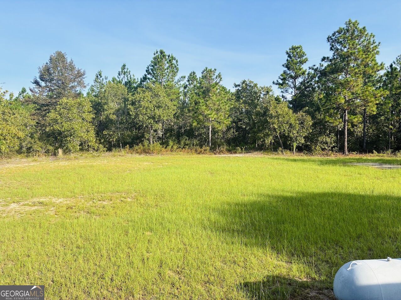 251 Moores Chapel Road Mauk GA 31058