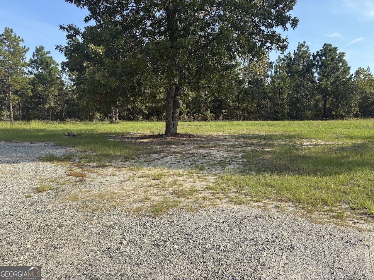 251 Moores Chapel Road Mauk GA 31058