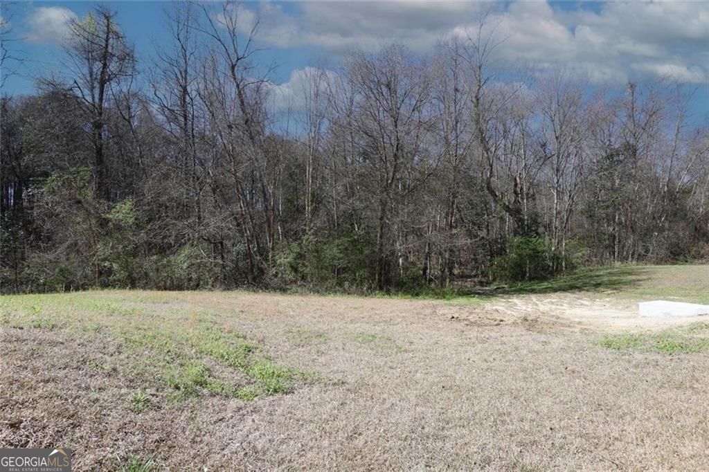 4011 Oak Field Drive Loganville GA 30052