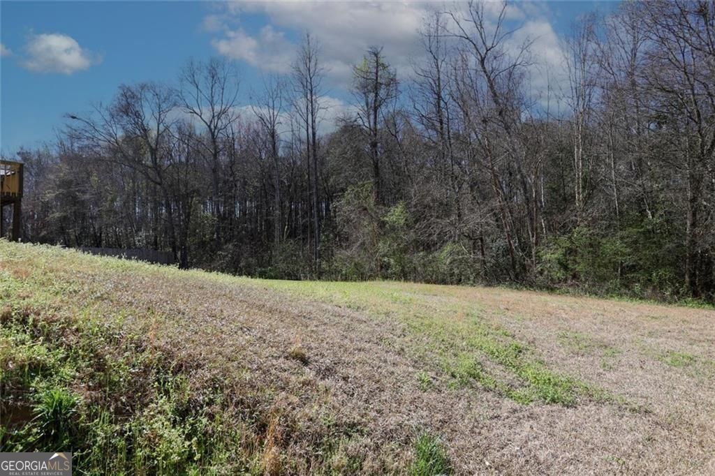 4011 Oak Field Drive Loganville GA 30052