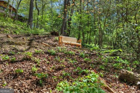 509 Ponderosa Road Ellijay GA 30540