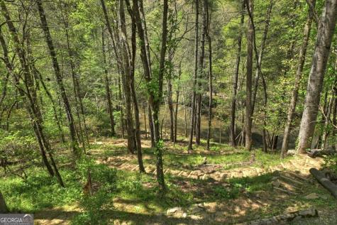 509 Ponderosa Road Ellijay GA 30540