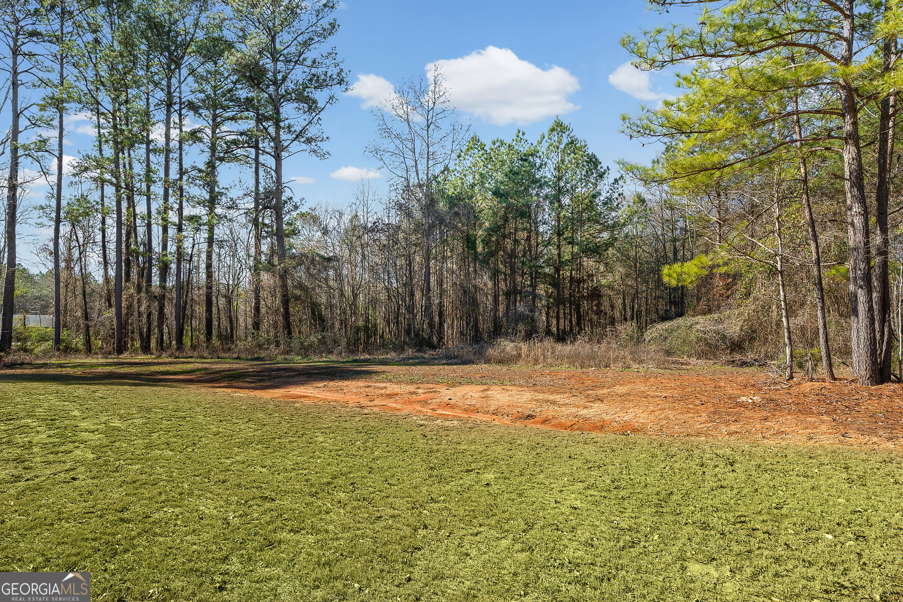 1788 Standing Rock Road Senoia GA 30276