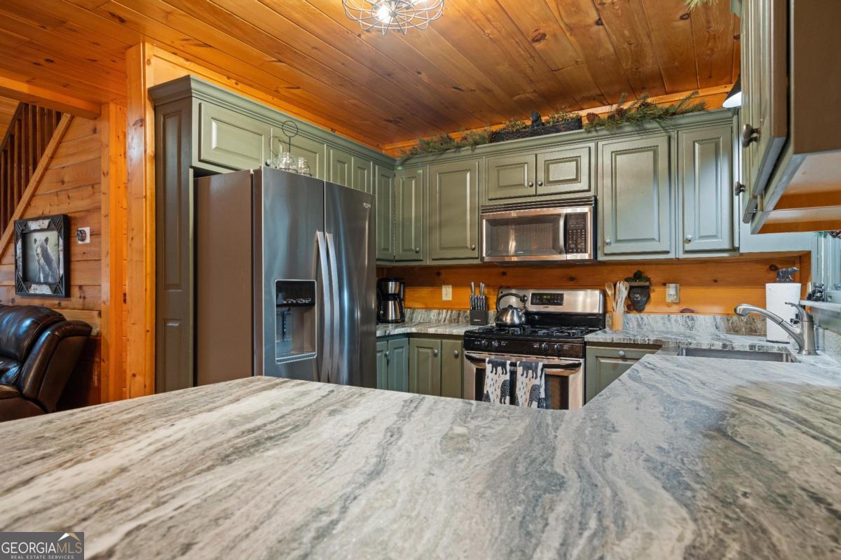 60 Clubhouse Court Ellijay GA 30536