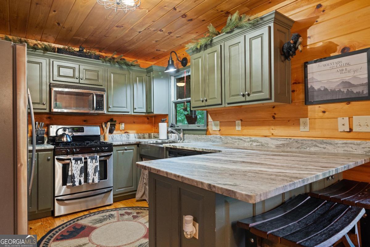 60 Clubhouse Court Ellijay GA 30536