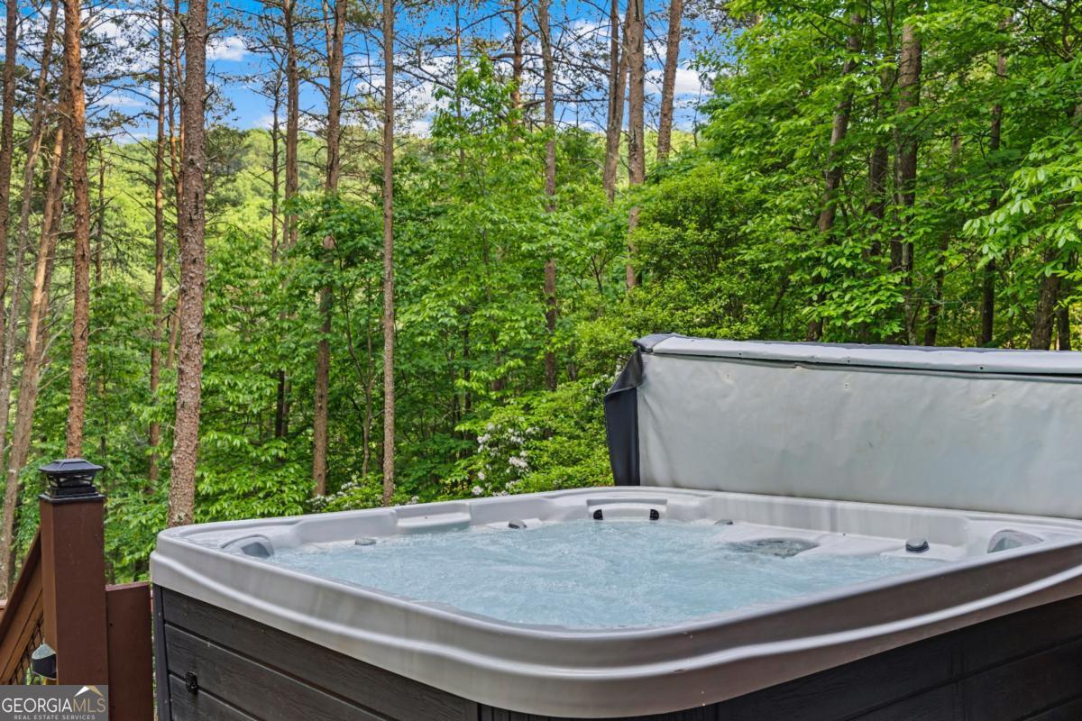 60 Clubhouse Court Ellijay GA 30536