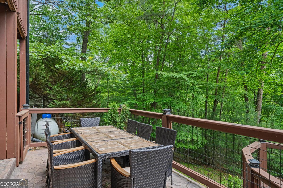 60 Clubhouse Court Ellijay GA 30536