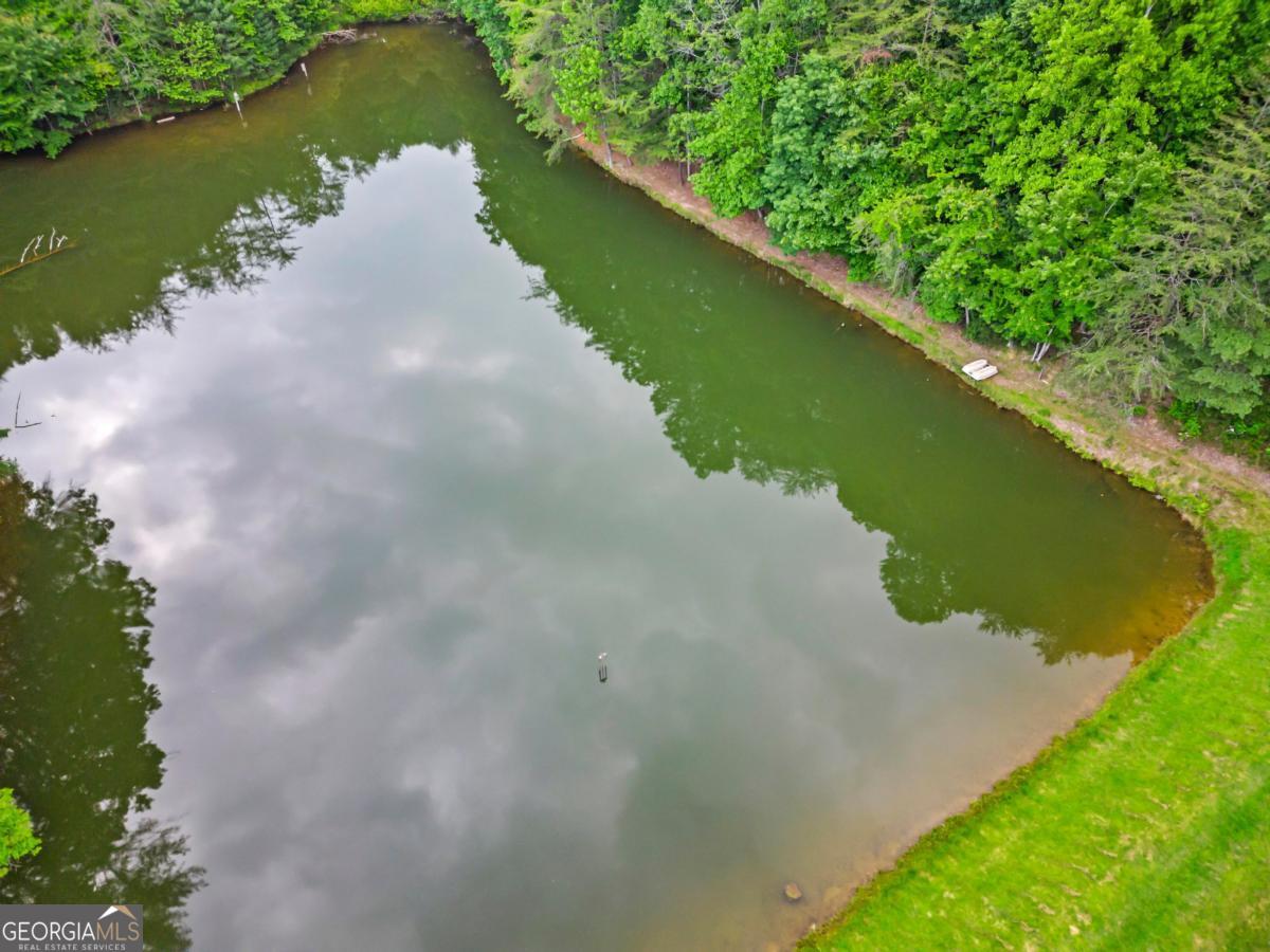 60 Clubhouse Court Ellijay GA 30536