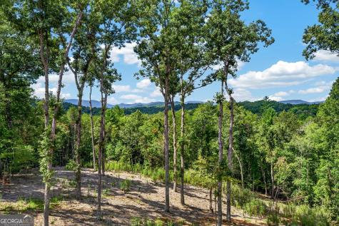 560 Horatio Drive Blue Ridge GA 30513
