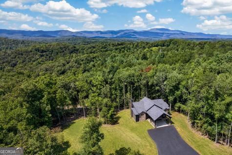 560 Horatio Drive Blue Ridge GA 30513