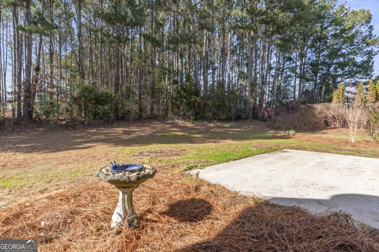 1216 Mcallistar Drive Locust Grove GA 30248