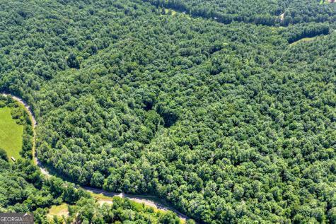 600 Conasauga Road Ellijay GA 30540
