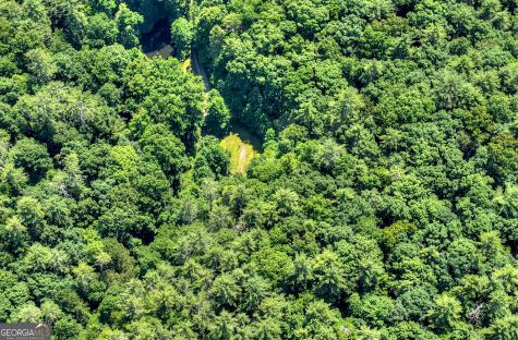 600 Conasauga Road Ellijay GA 30540