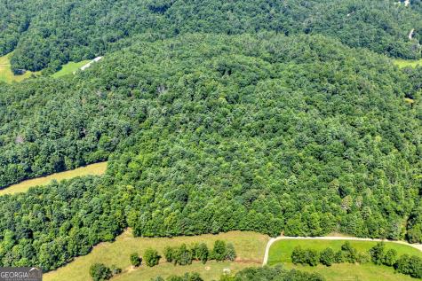 600 Conasauga Road Ellijay GA 30540