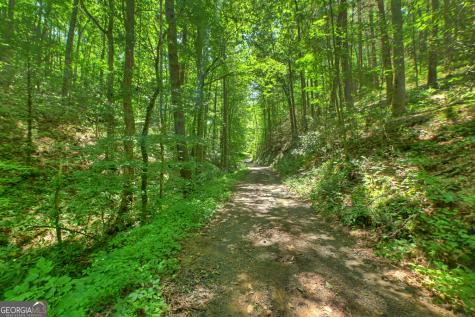 600 Conasauga Road Ellijay GA 30540