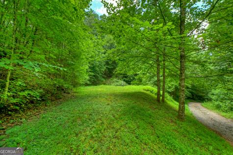 600 Conasauga Road Ellijay GA 30540